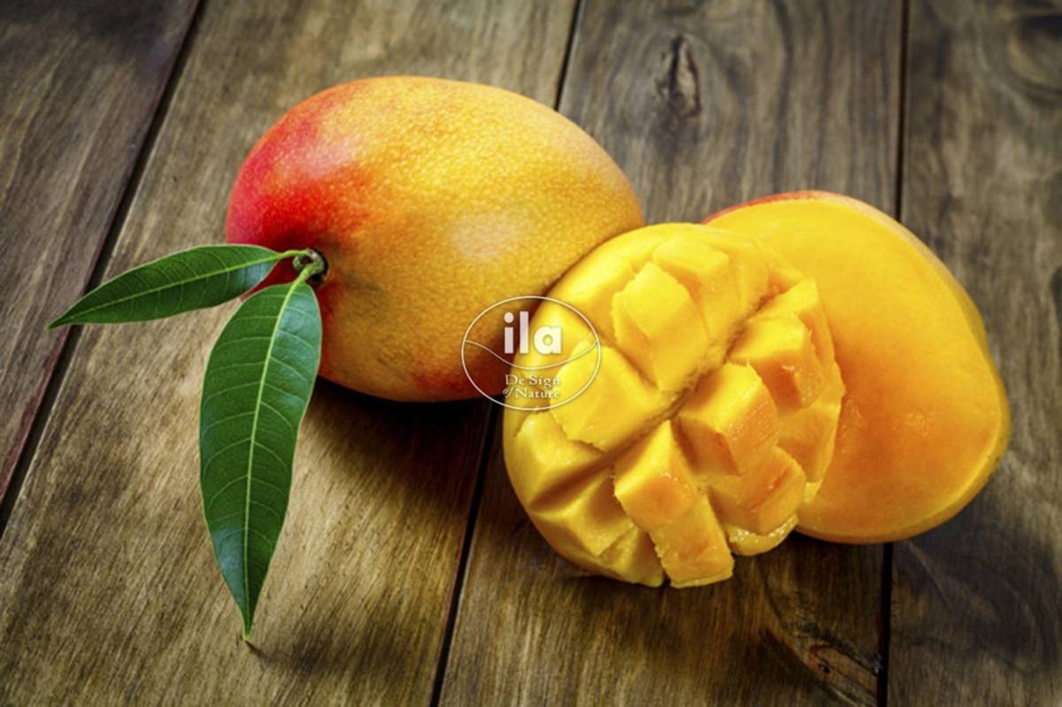 56150-8-mango-fruits.jpg