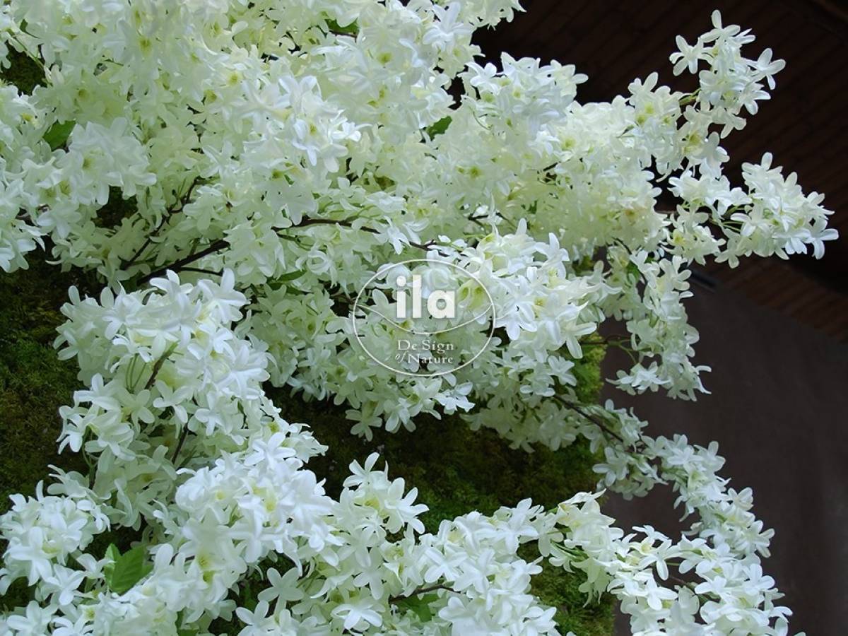69931-vert-garden-jasmine-8.jpg