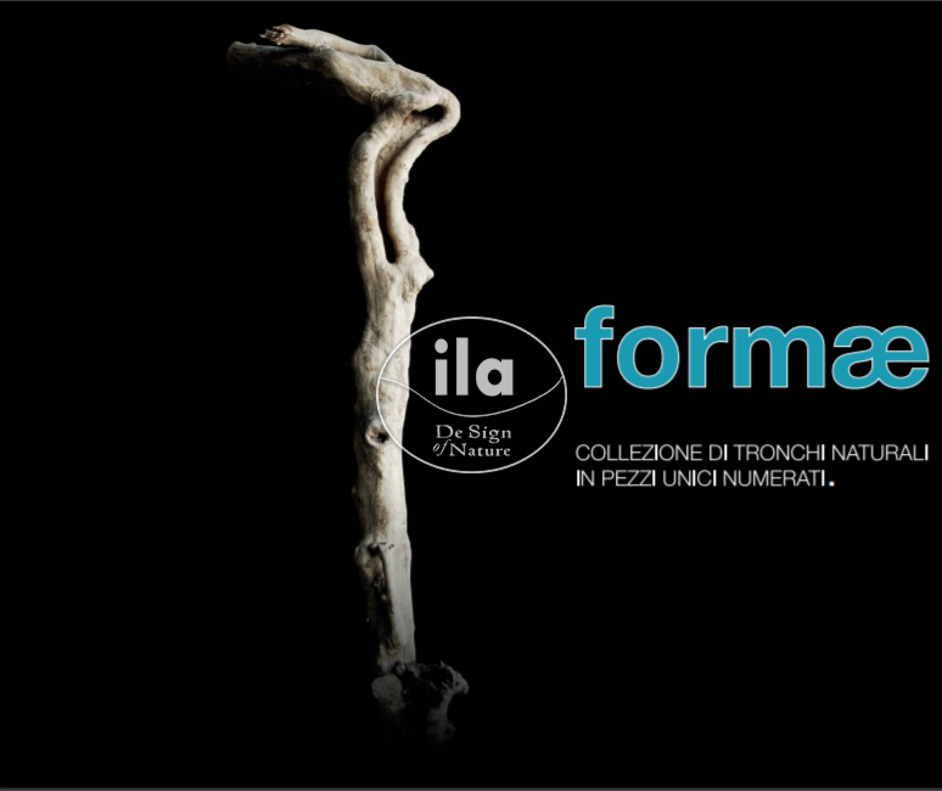 FORMAE: the figure of the nature