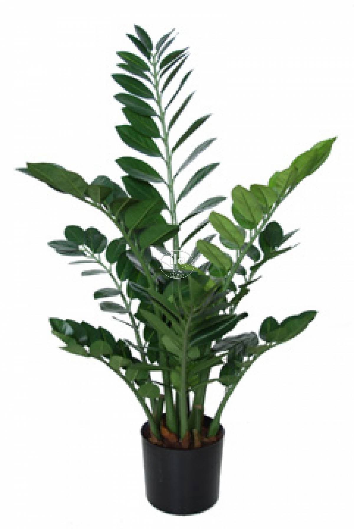 87670-zamiifolia-plant-w-pot-90-cm-green-5439grn-1-1.jpg